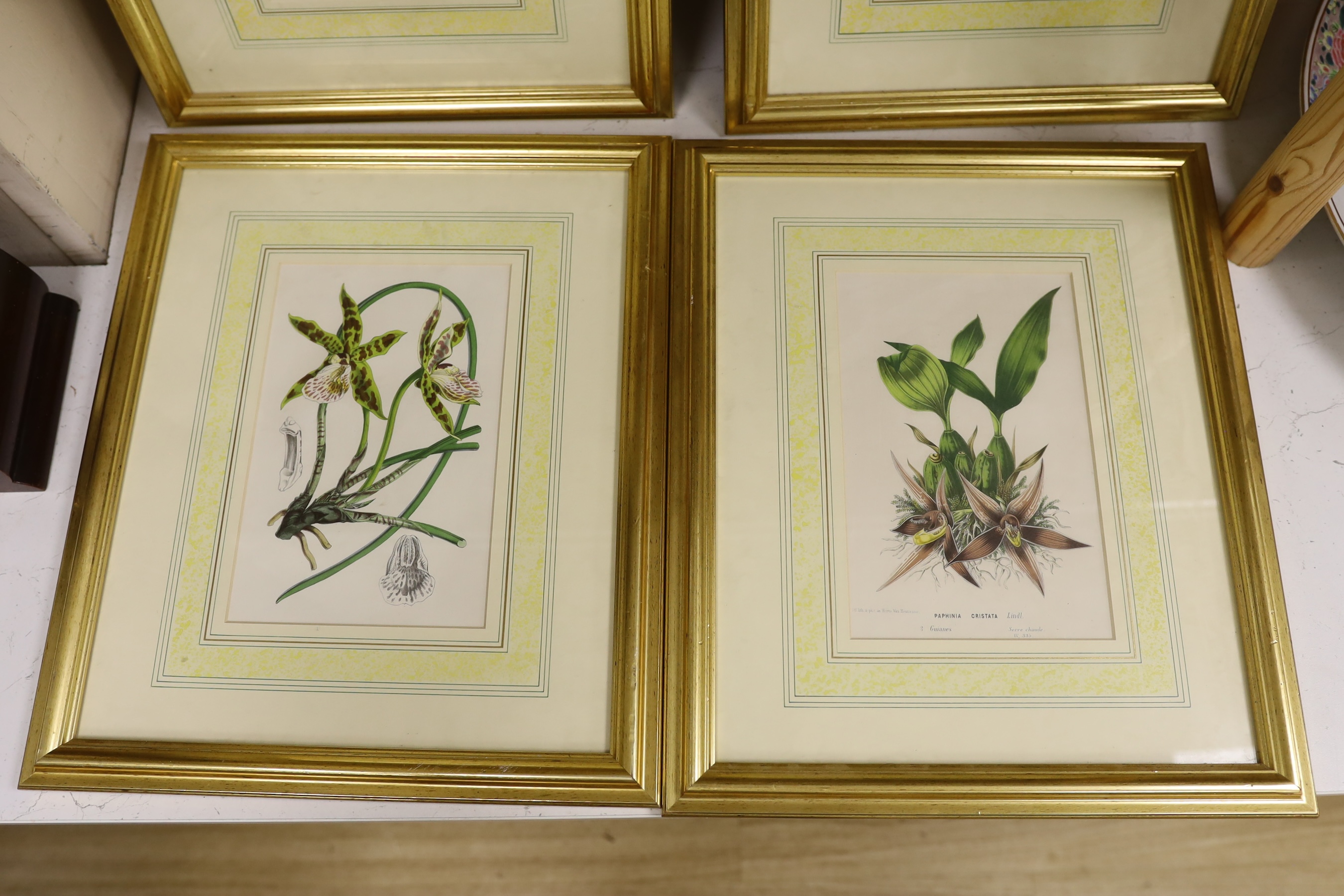 After Louis Van Houtte (Belgian, 1810-1876), set of four botanical colour lithographs, circa 1845, Flowers from the gardens of Europe, each with details verso, 23 x 14.5cm